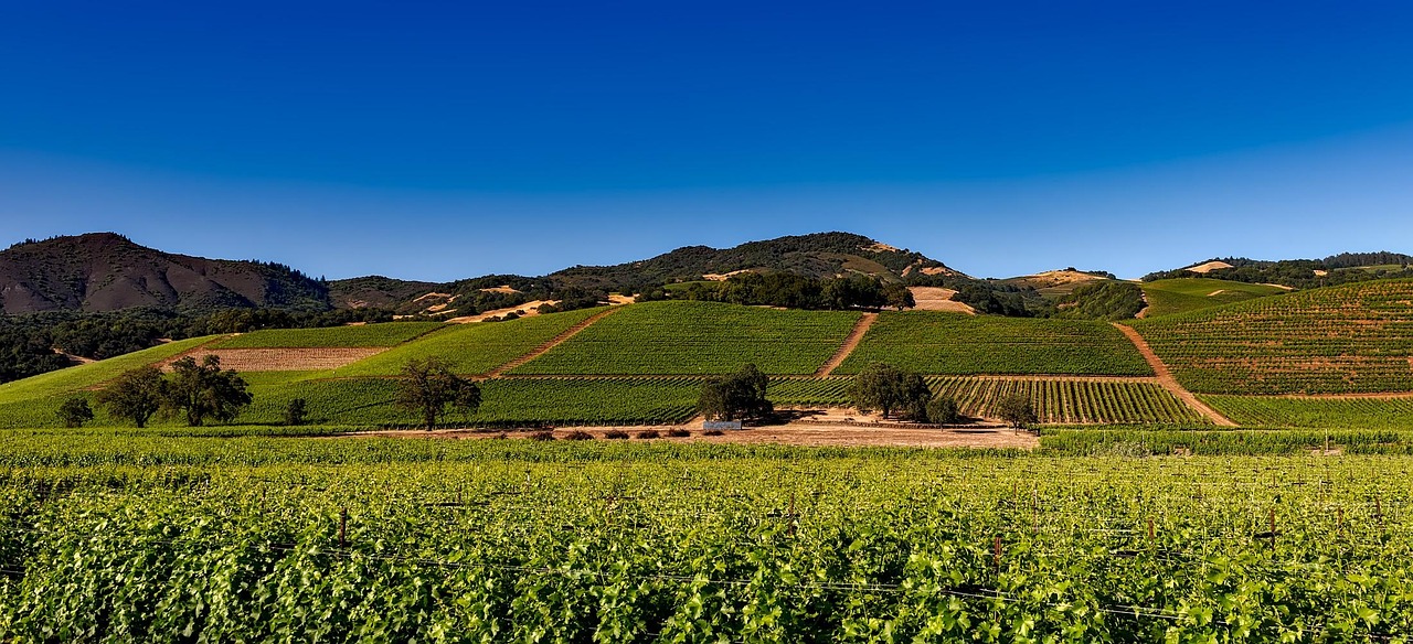 Best Travel Apps for Napa Valley 2026: Top 5 Picks - Napa Valley | Secret World Trip Planner