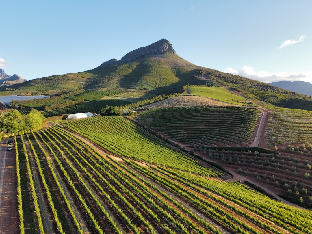 Perfect Stellenbosch Itinerary with AI in 2026 - Stellenbosch | Secret World Trip Planner