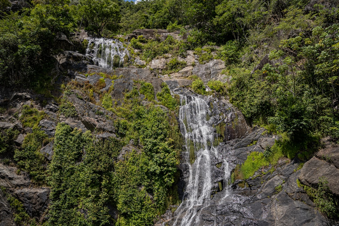 Wanderlog Alternatives for Cairns 2026: Discover Secret World - Cairns | Secret World Trip Planner