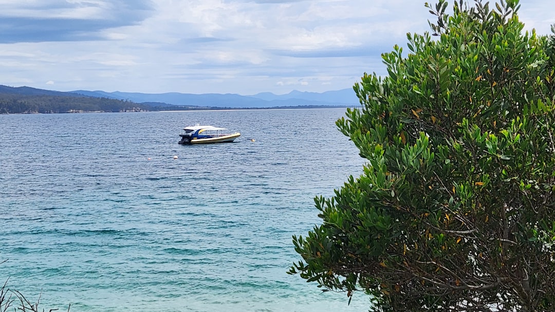 Migliori app viaggio Tasmania 2026: 5 scelte testate - Tasmania | Secret World Trip Planner