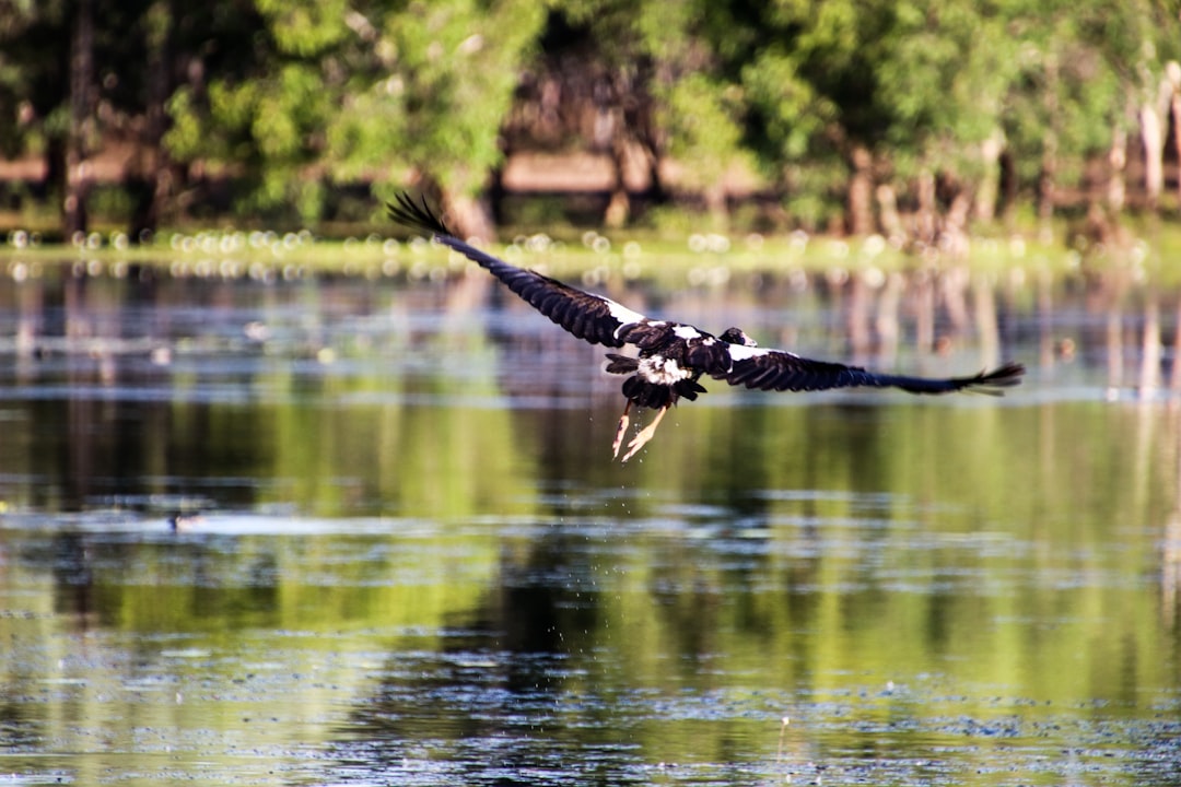 Itinerario perfetto Kakadu con AI: guida 2026 - Kakadu | Secret World Trip Planner