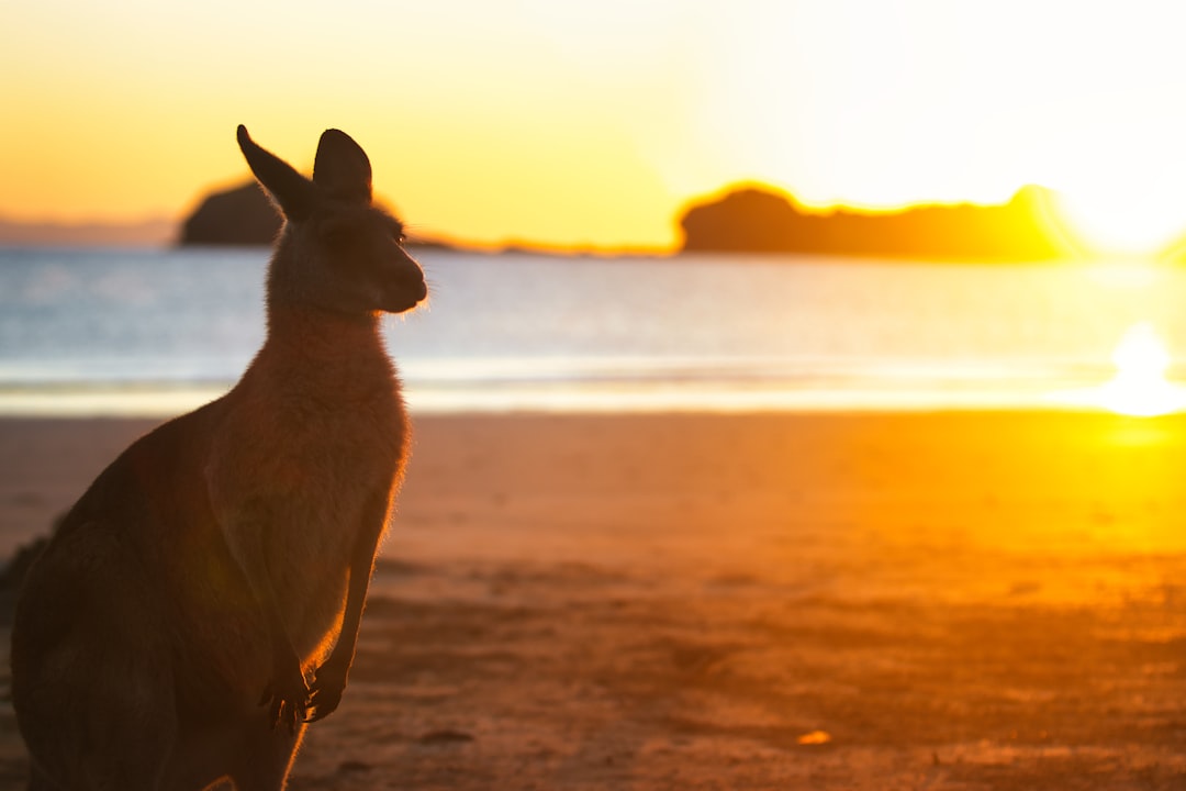 Wanderlog Alternatives for Kangaroo Island 2026: Discover Secret World - Kangaroo Island | Secret World Trip Planner