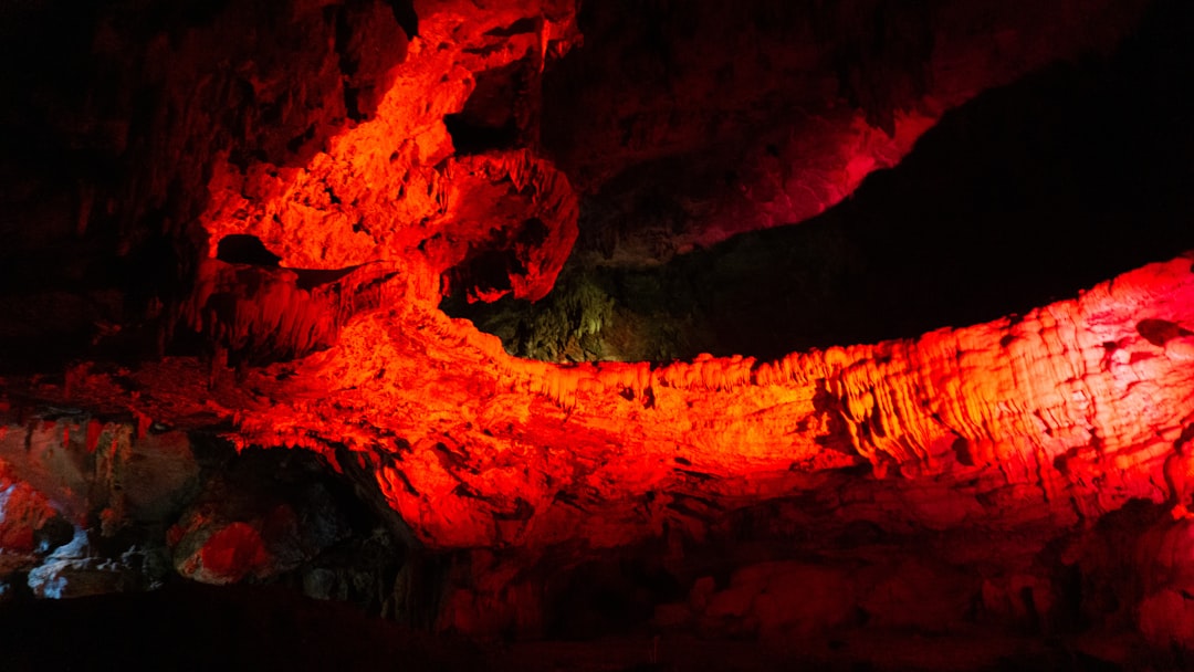 The Enchanted Waitomo Caves: A Dance of Light and Shadow - 39 Waitomo Village Road | Secret World Trip Planner