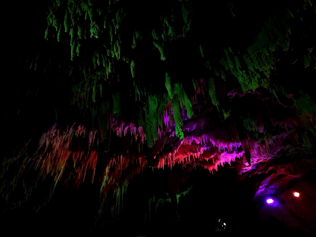 Die Magischen Waitomo-Höhlen: Licht und Schatten Spiel - 39 Waitomo Village Road | Secret World Trip Planner