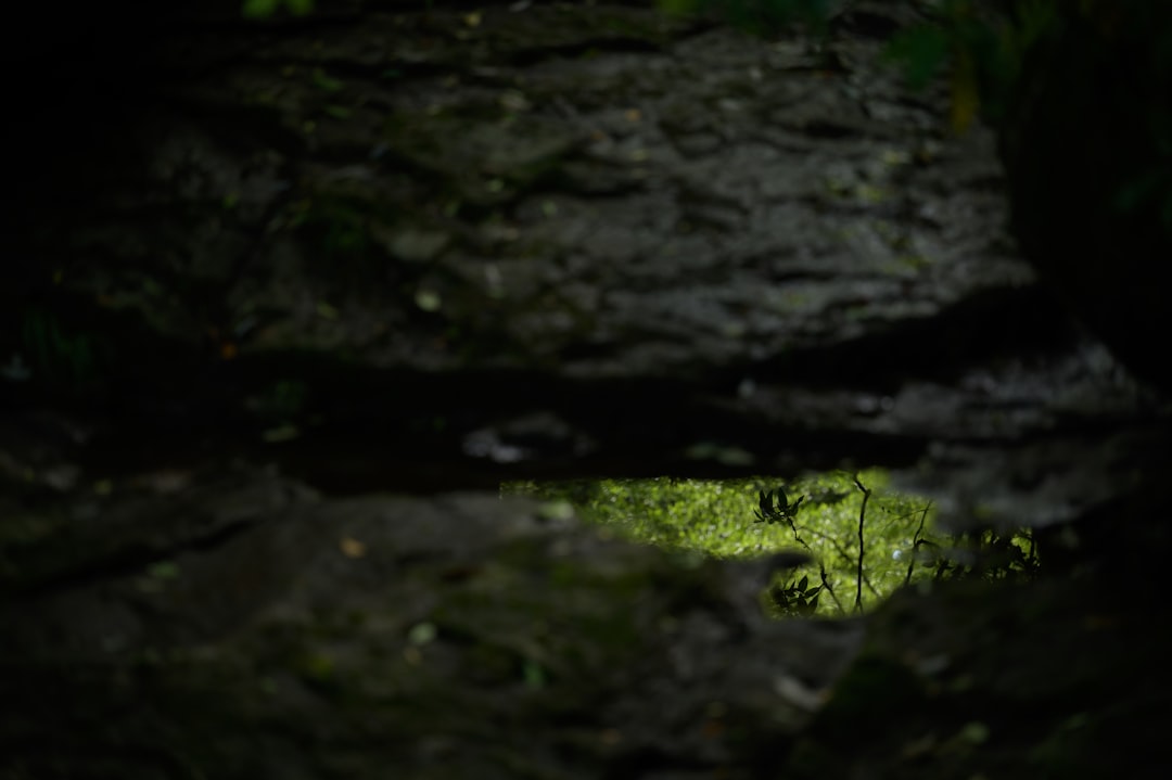 Die Magischen Waitomo-Höhlen: Licht und Schatten Spiel - 39 Waitomo Village Road | Secret World Trip Planner