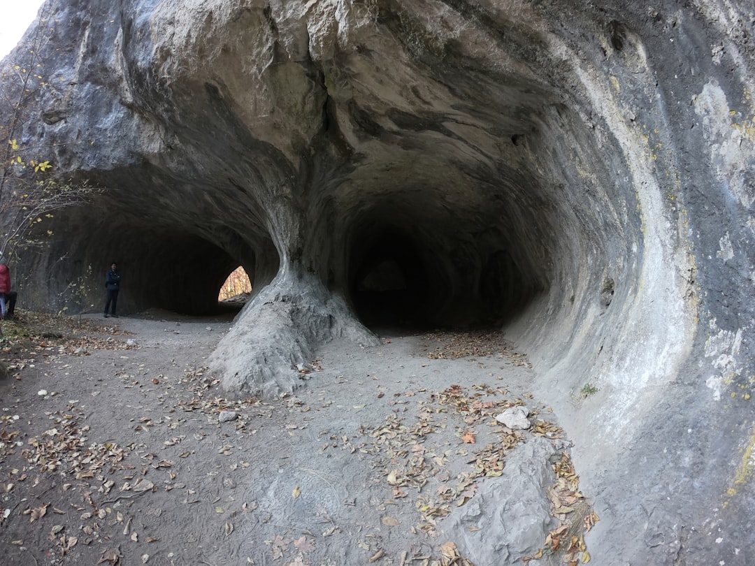Explore Postojna Caves: A Unique Underground Journey - Jamska cesta 30 | Secret World Trip Planner