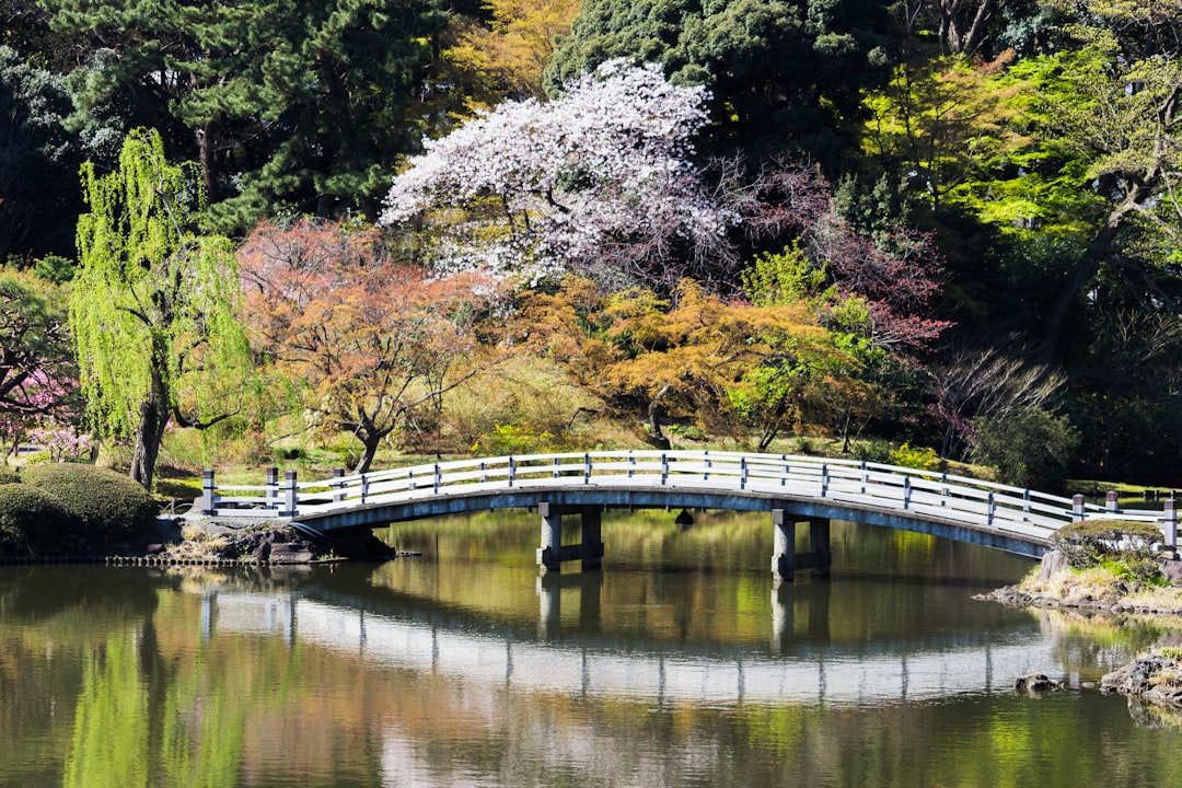 Exploring the Shinjuku Gyoen National Garden — Shinjuku City