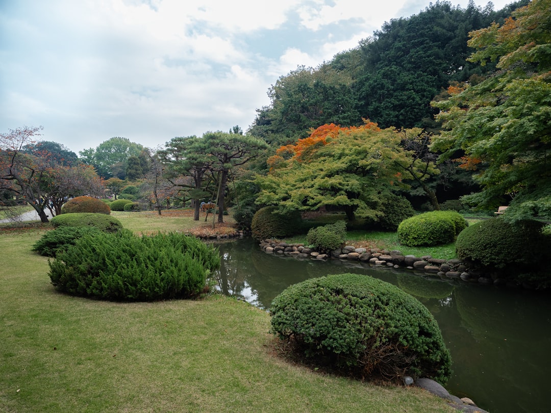 Entdeckung des Shinjuku Gyoen Nationalgartens - Shinjuku City | Secret World Trip Planner