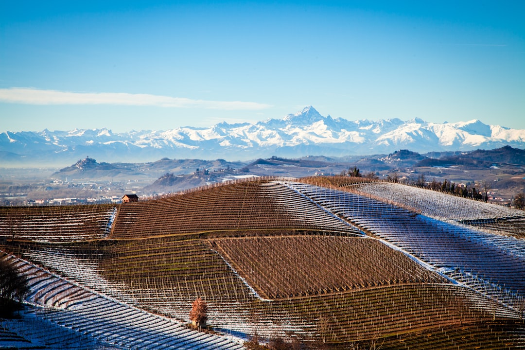 Scopri i Vini di Langaround: Barolo e Barbaresco - 9 | Secret World Trip Planner
