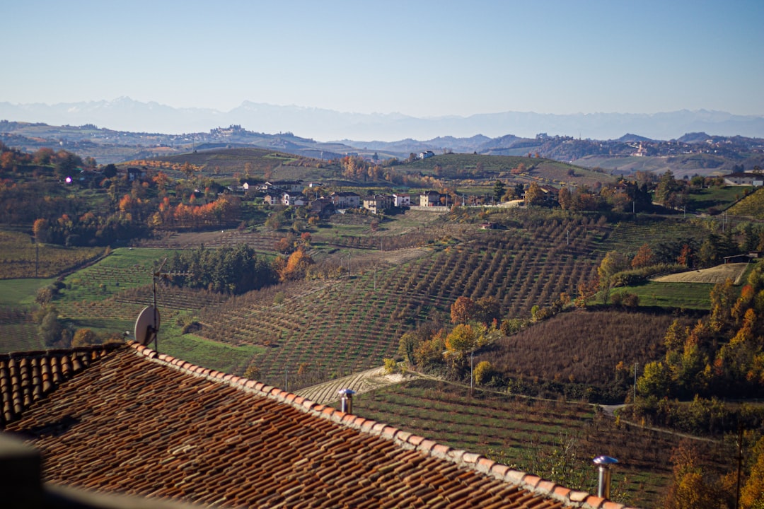 Entdecke die Weine von Langaround: Barolo & Barbaresco - 9 | Secret World Trip Planner