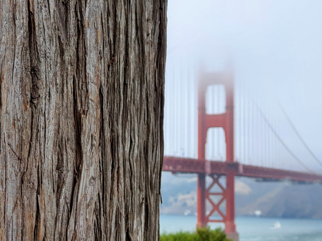 Der Zauber der Golden Gate Bridge: Eine Ikone - San Francisco | Secret World Trip Planner