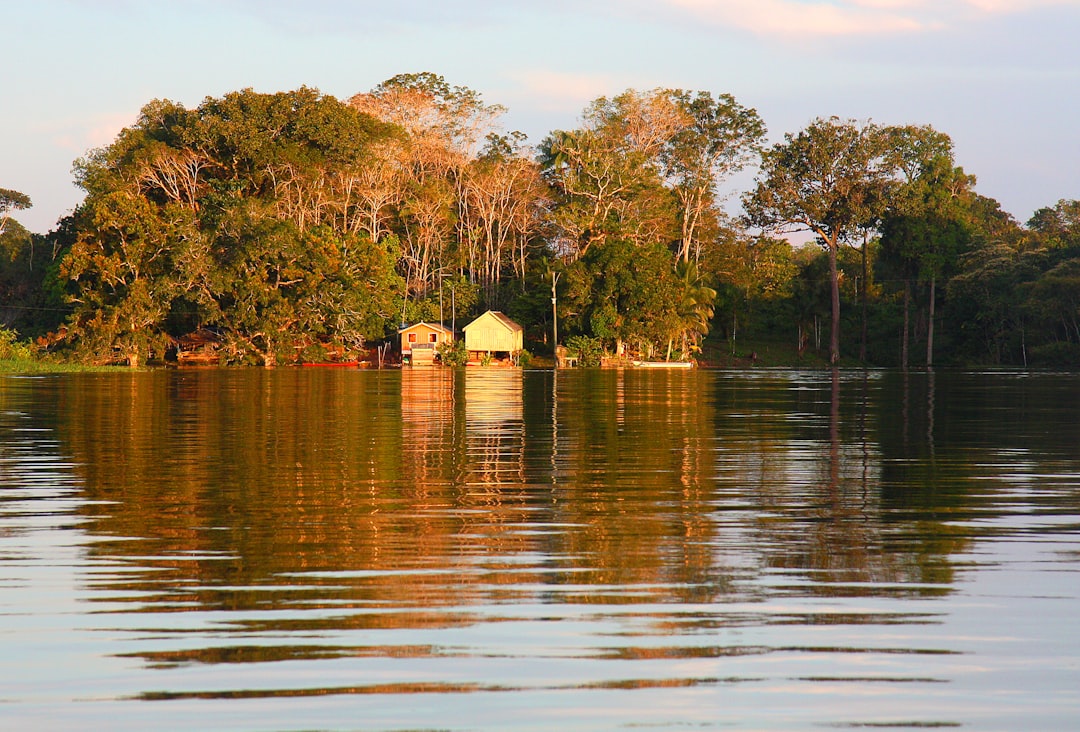 Esplorando la Magia della Foresta Amazzonica — Codajás - Amazonas