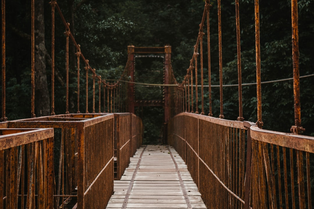 Discover Sedona's Devil's Bridge: A Natural Adventure — Devil's Bridge Trail