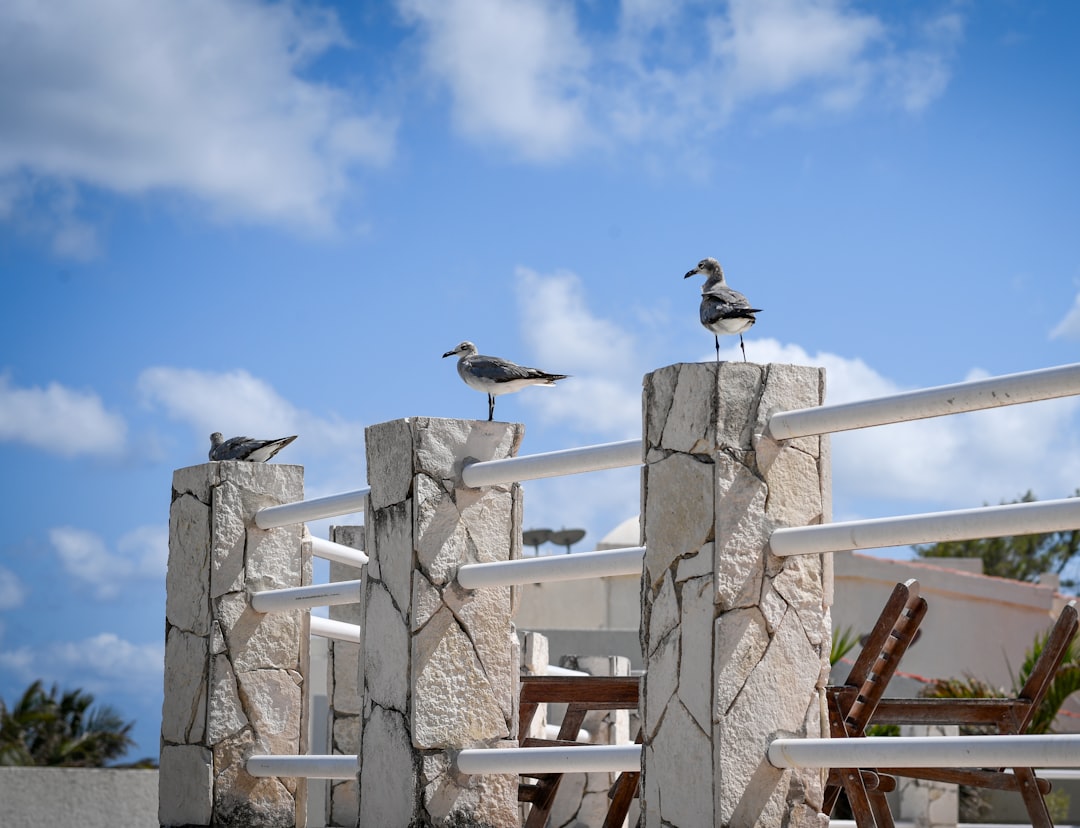 Affordable Cancun Vacations: Tips and Practical Guide - Cancún | Secret World Trip Planner