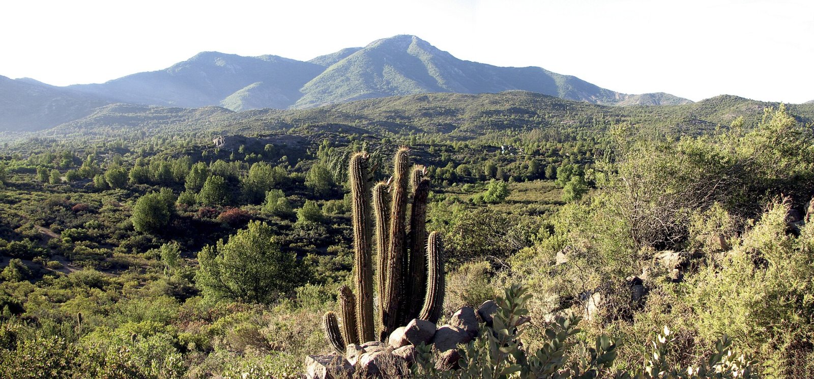 Cerro El Roble: Un Paraíso Natural en Chile | Secret World Trip Planner