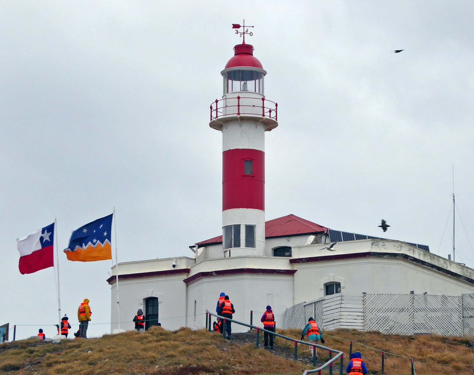 Faro Isla Magdalena: Ein Juwel im südlichen Chile