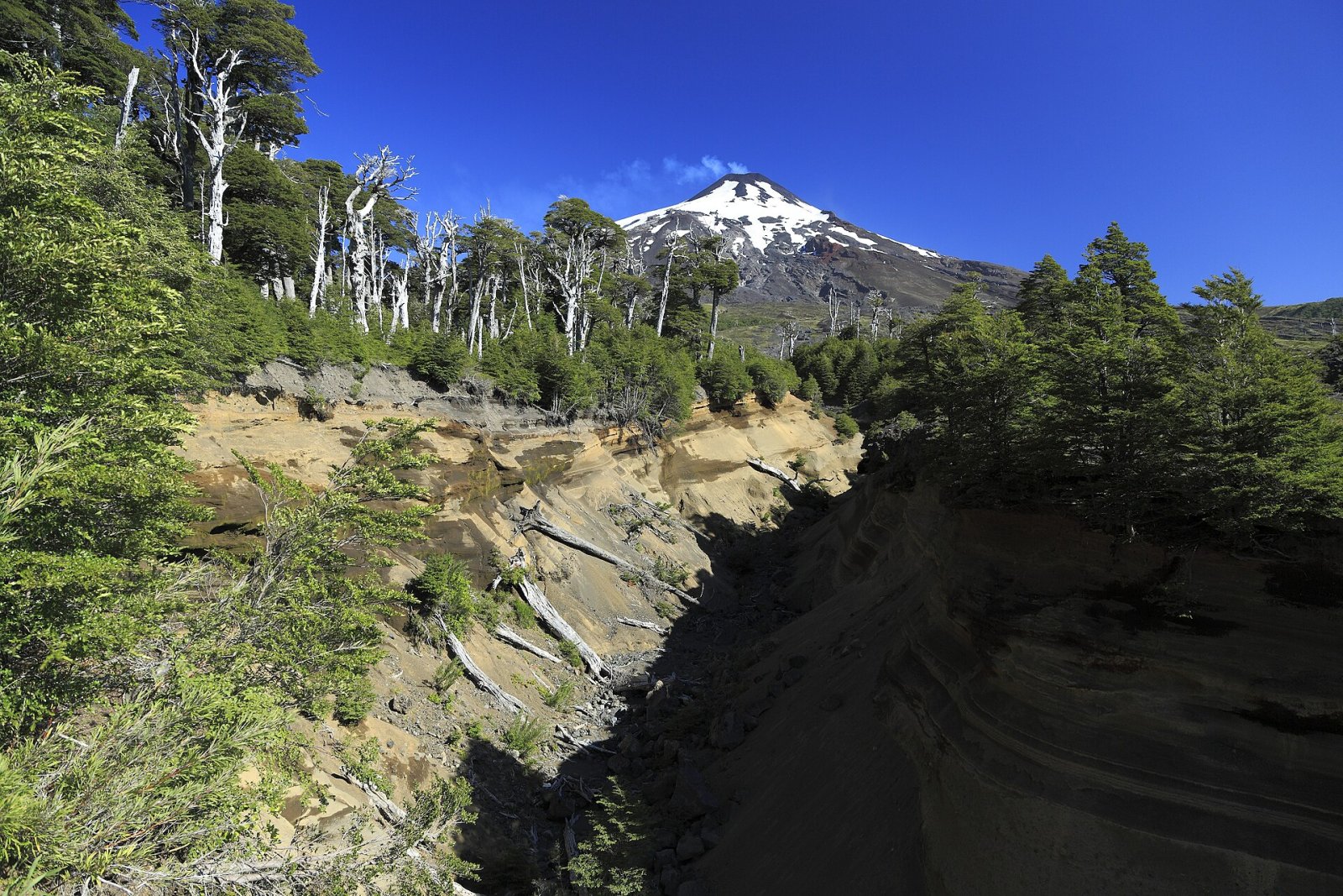 Scopri le affascinanti Cuevas Volcánicas del Villarrica in Cile - Refugio Villarrica | Secret World Trip Planner