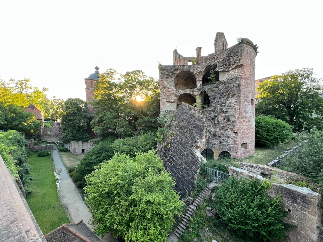 Discover the Charm of Heidelberg Castle - Heidelberg | Secret World Trip Planner