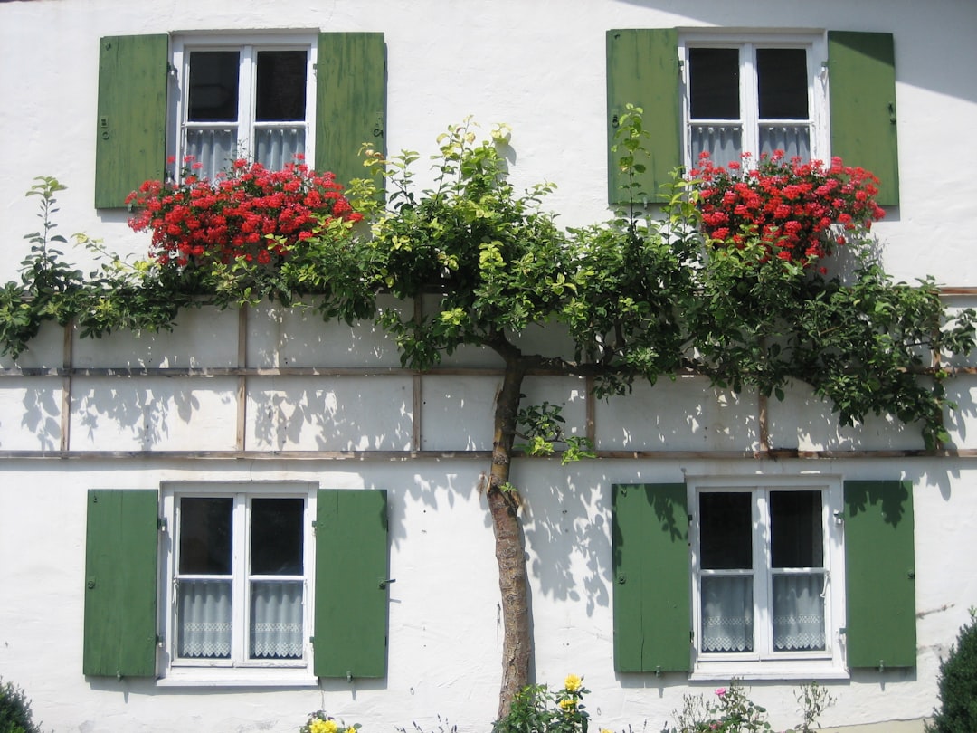 Scopri Murnau am Staffelsee: un gioiello della Baviera - Murnau am Staffelsee | Secret World Trip Planner