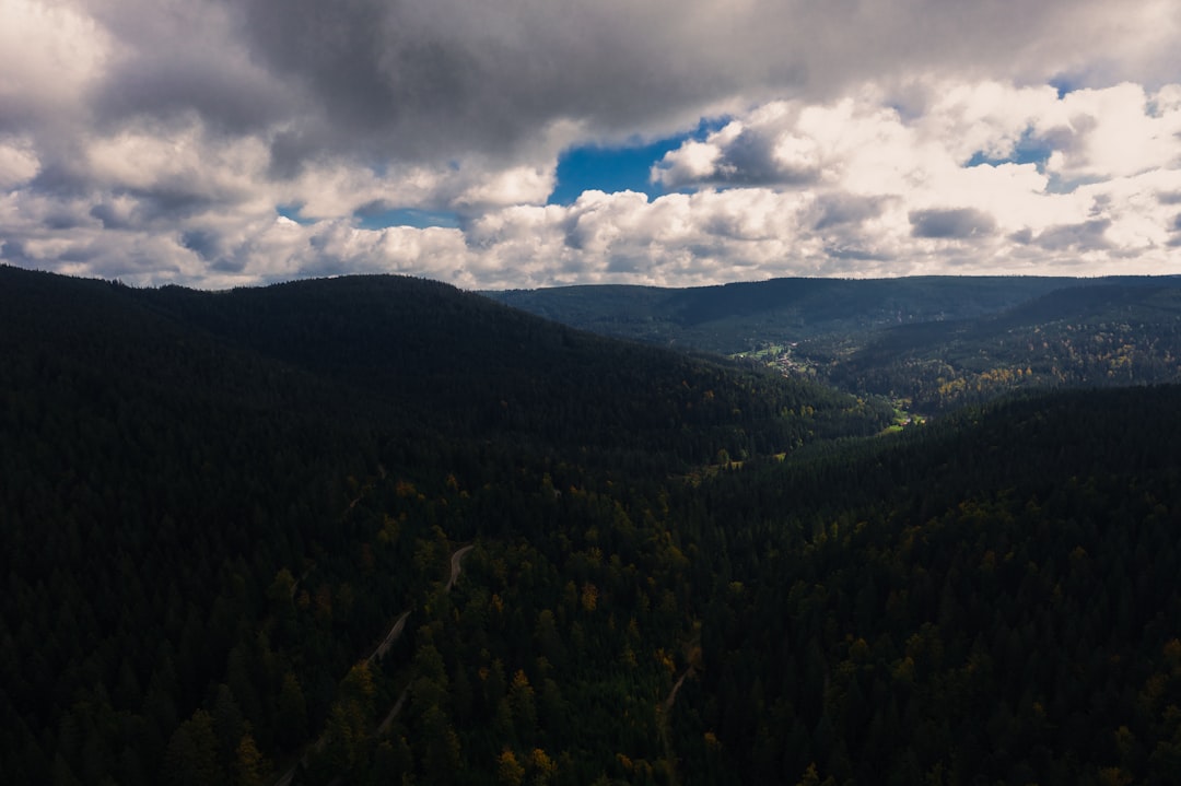Entdecken Sie den Nationalpark Schwarzwald: ein Naturjuwel in Deutschland — Freudenstadt