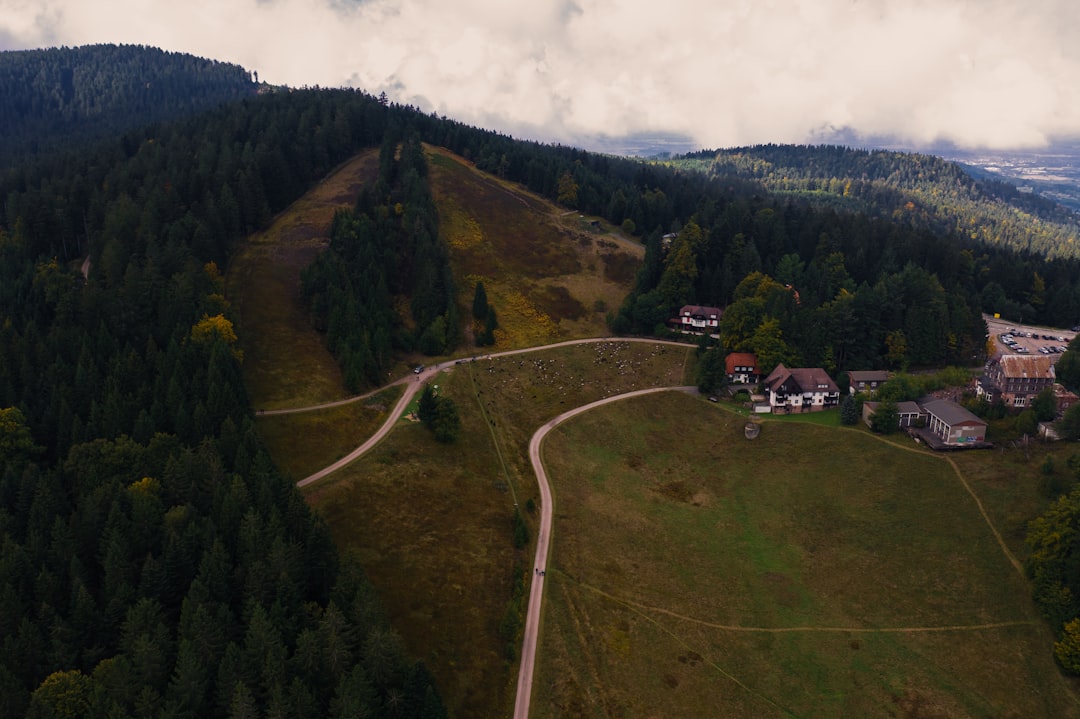Entdecken Sie den Nationalpark Schwarzwald: ein Naturjuwel in Deutschland - Freudenstadt | Secret World Trip Planner