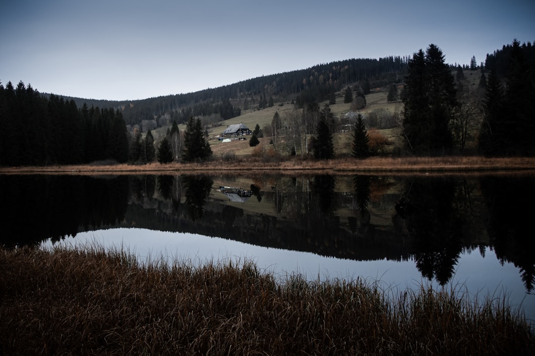 Entdecken Sie Schluchsee: das Juwel des Schwarzwalds - Schluchsee | Secret World Trip Planner