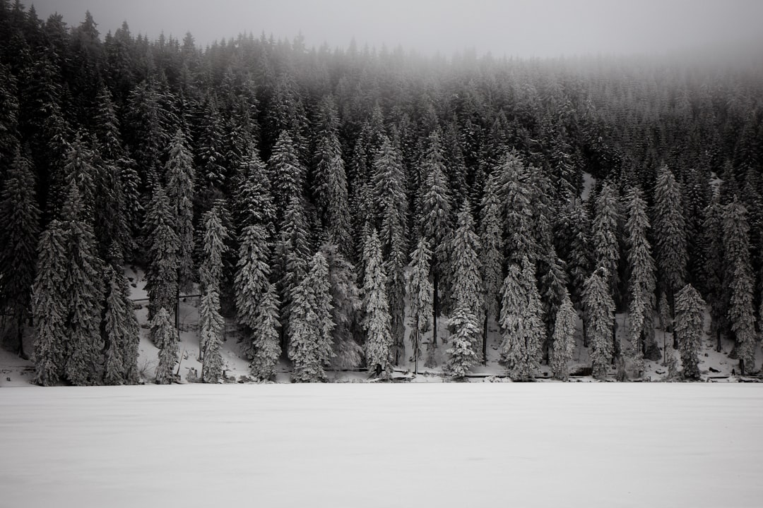Mummelsee: A Natural Paradise in the Heart of the Black Forest — Seebach