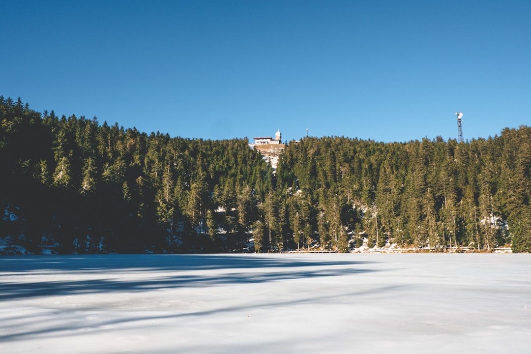 Mummelsee: A Natural Paradise in the Heart of the Black Forest - Seebach | Secret World Trip Planner