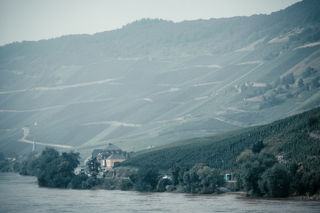 Esplorando la Valle del Fiume Mosella a Bernkastel-Kues - Bernkastel-Kues | Secret World Trip Planner