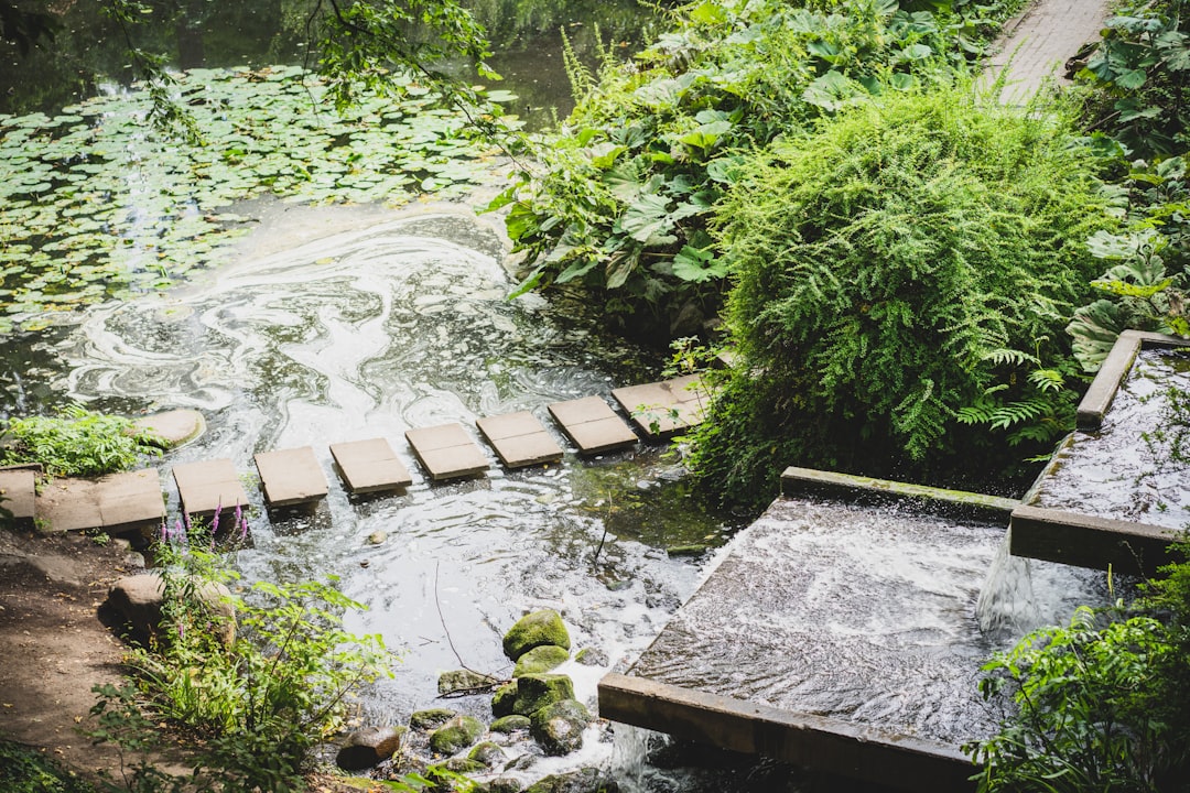Planten un Blomen: un angolo di natura a Amburgo - Hamburg | Secret World Trip Planner