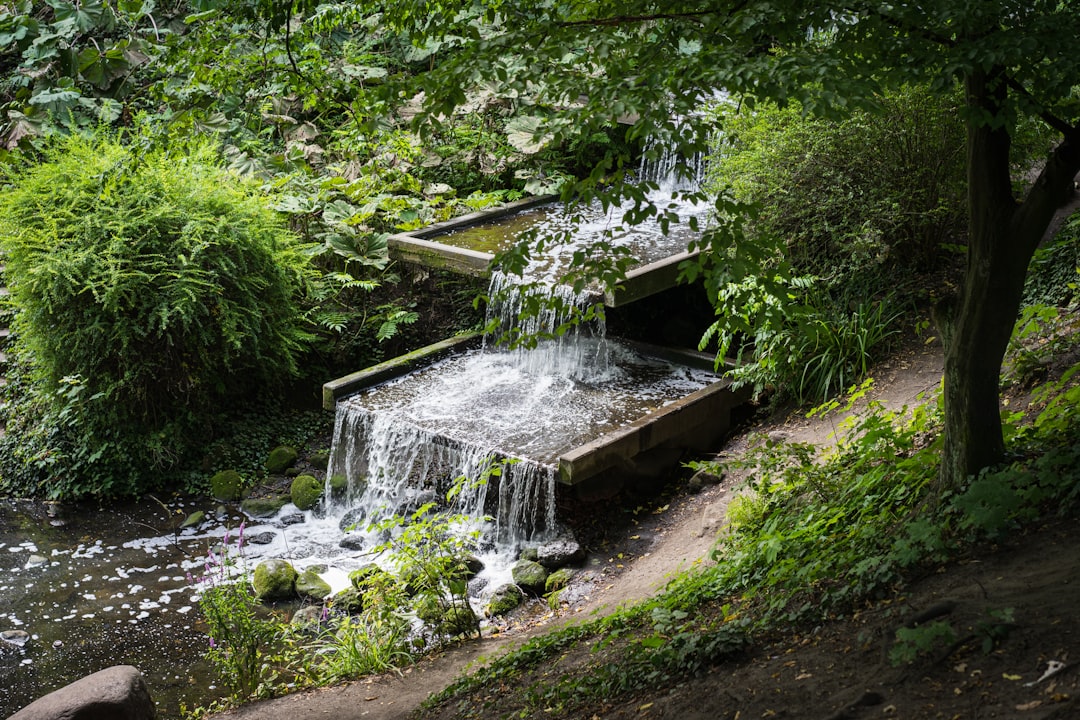 Planten un Blomen: eine Oase der Natur in Hamburg — Hamburg