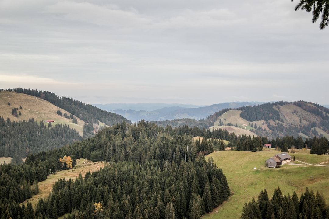 Entdecken Sie den Rennsteig Ridge: Ein Wanderweg zwischen Natur und Geschichte in Thüringen — Neuhaus am Rennweg