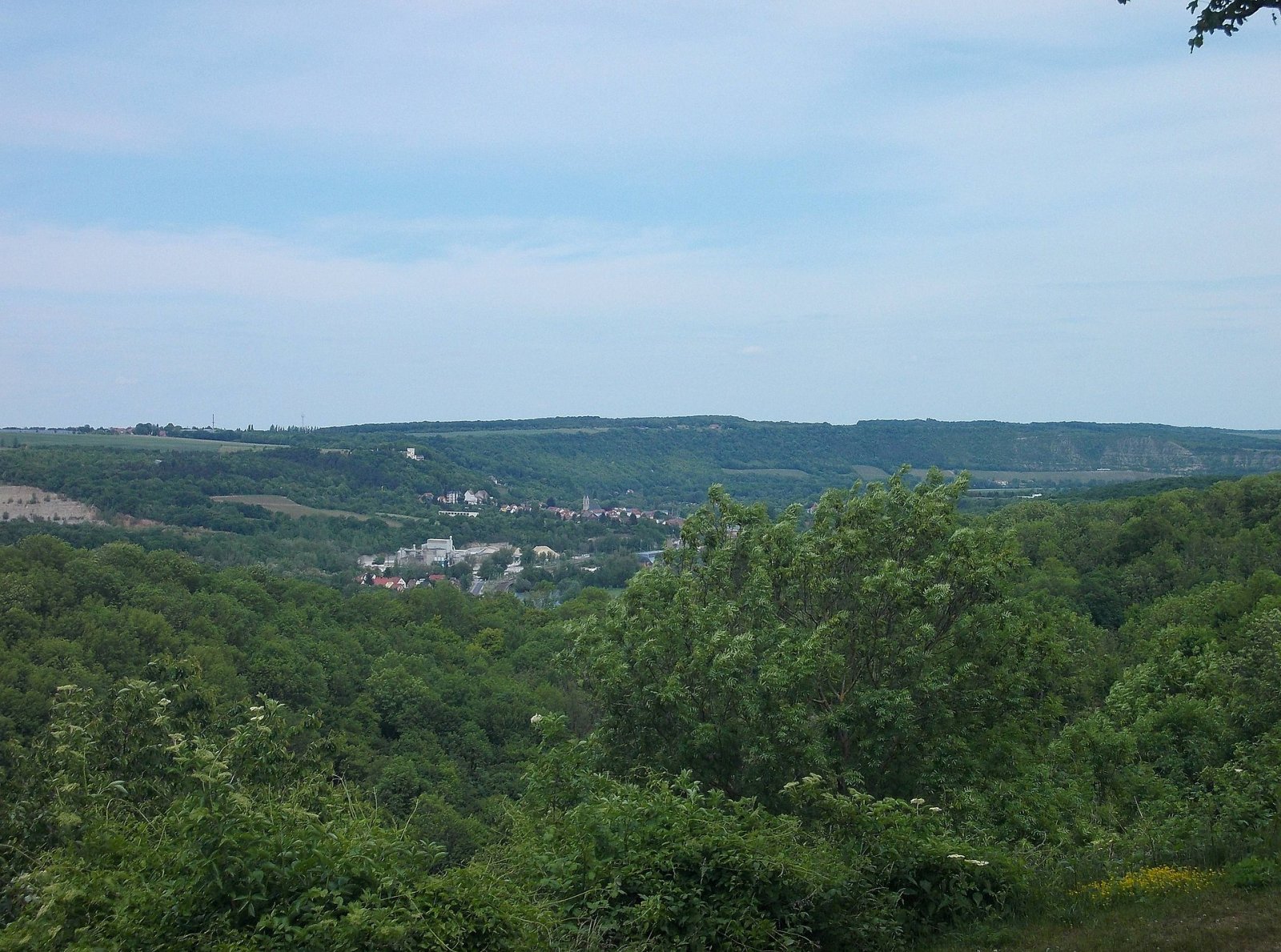 Discover the Saale-Unstrut Valley: Nature and History in Naumburg - Naumburg (Saale) | Secret World Trip Planner
