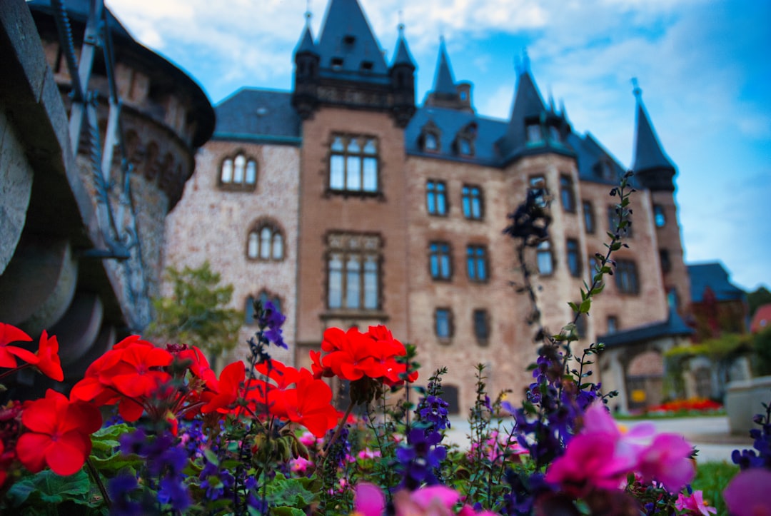 Entdecken Sie das Schloss Wernigerode: ein Juwel von Sachsen-Anhalt — Wernigerode