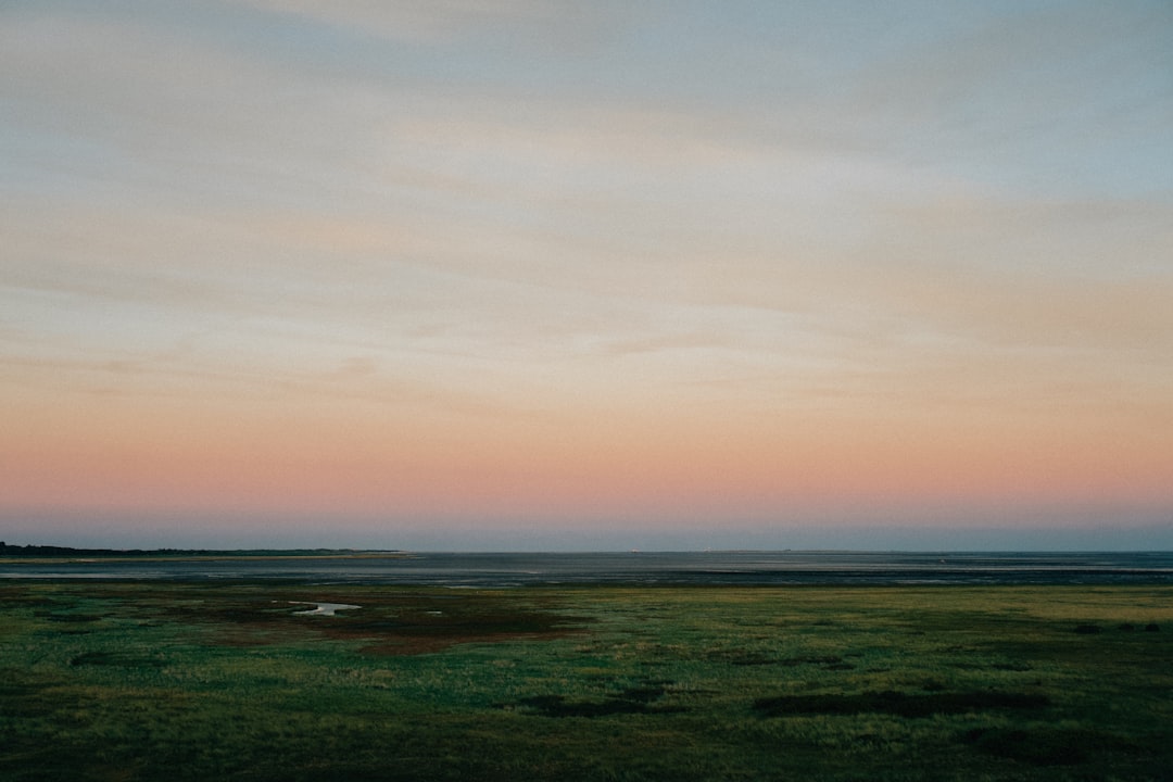 Entdecken Sie den Nationalpark Wattenmeer in Cuxhaven: ein Naturjuwel — Cuxhaven