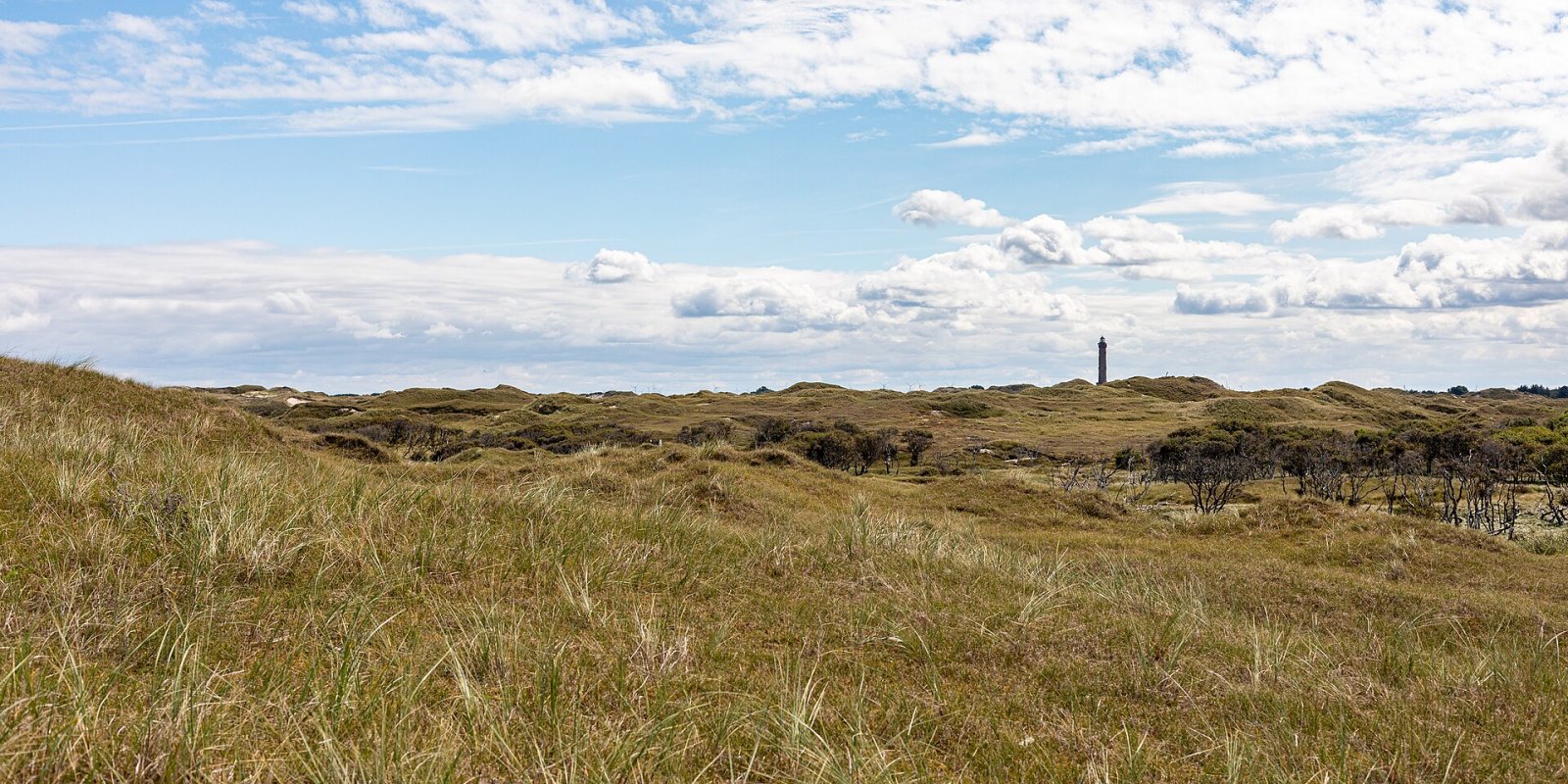 Entdecken Sie den Leuchtturm von Norderney: Ein Juwel der deutschen Insel — Norderney