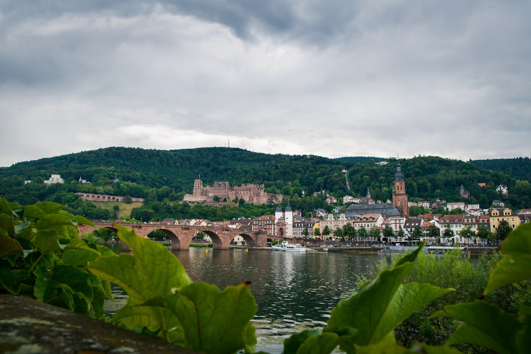 Discover Heidelberg Old Town: A Historical Gem in Germany - Heidelberg | Secret World Trip Planner