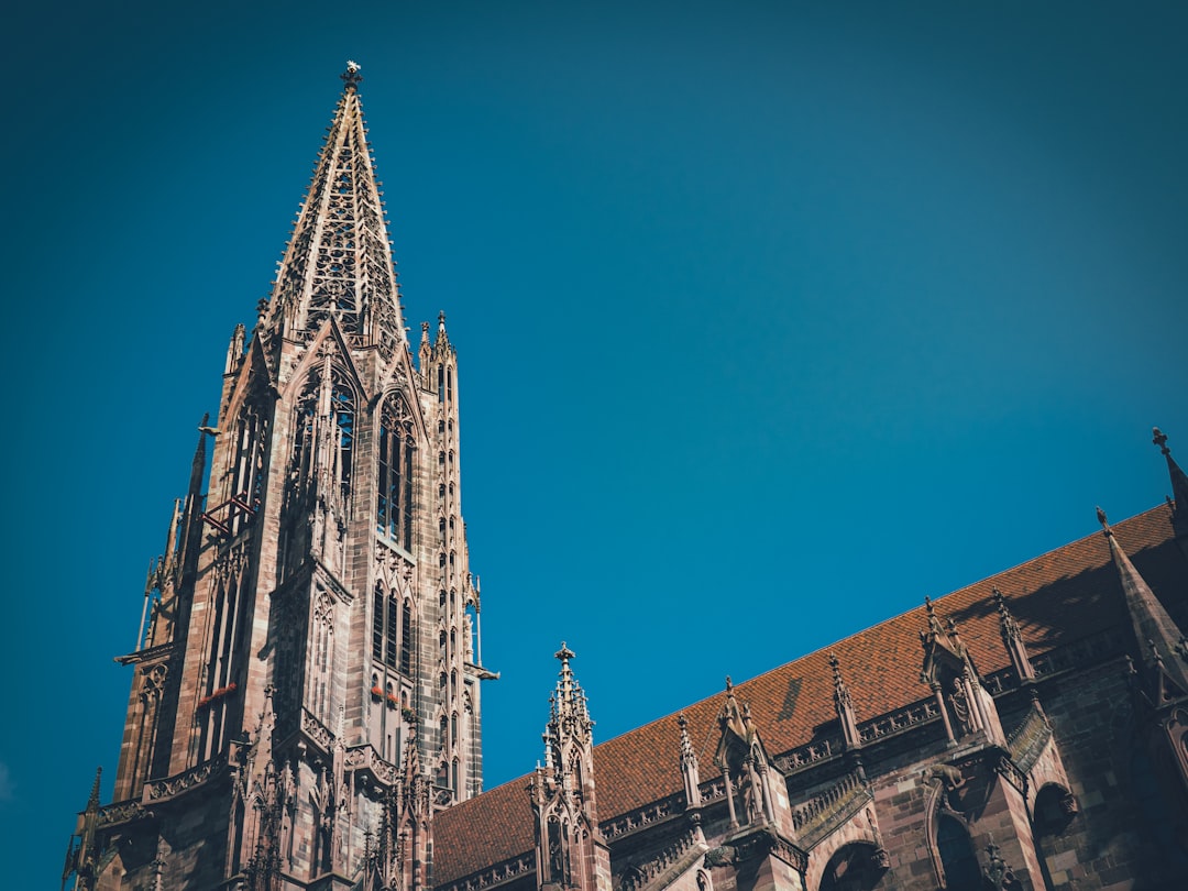 Scopri Freiburg Münster: gioiello culturale in Germania - Freiburg im Breisgau | Secret World Trip Planner