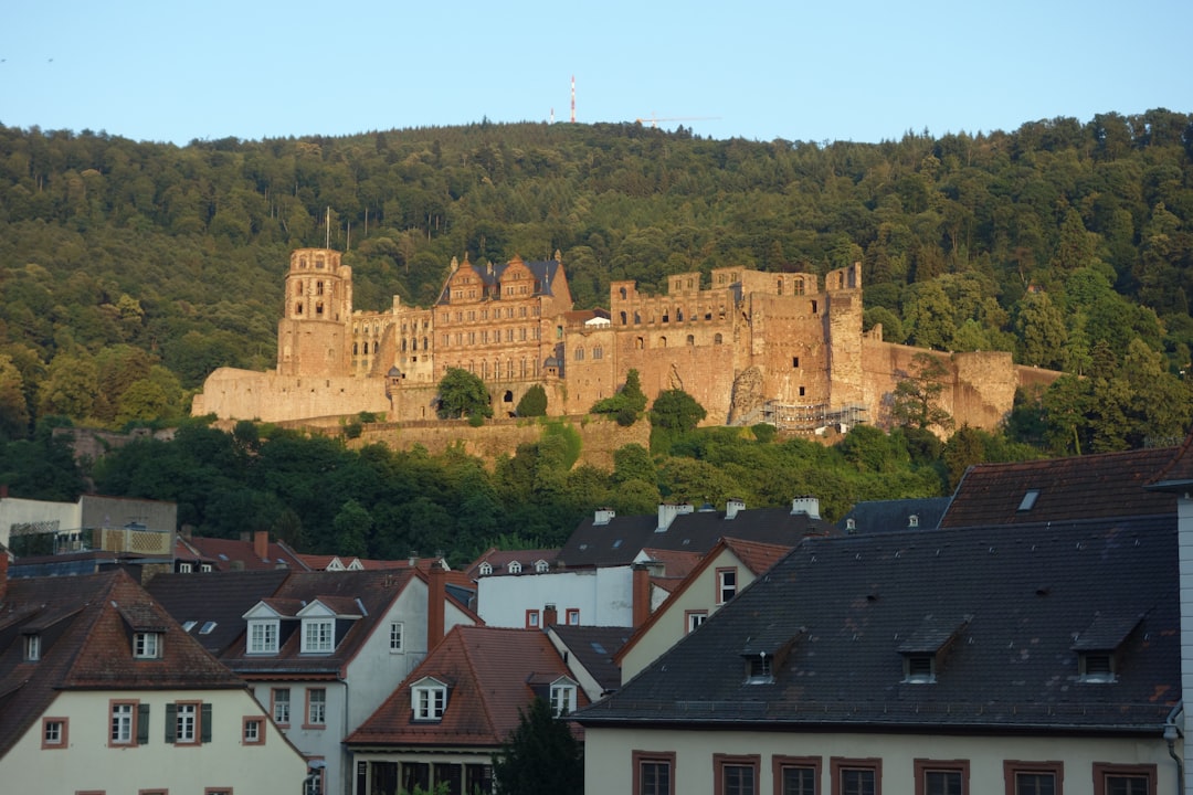 Scopri il Castello di Marksburg: Storia e Bellezza nel Reno — Spay