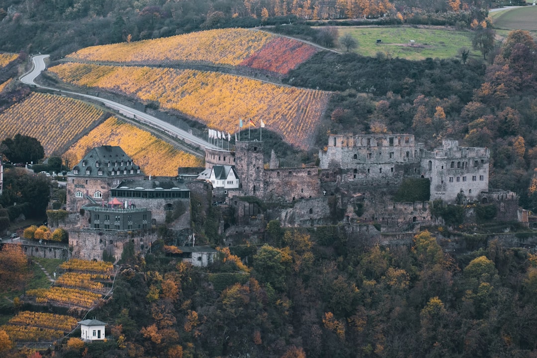 Entdecken Sie die Burg Rheinfels: Geschichte und Schönheit am Rhein - Sankt Goar | Secret World Trip Planner