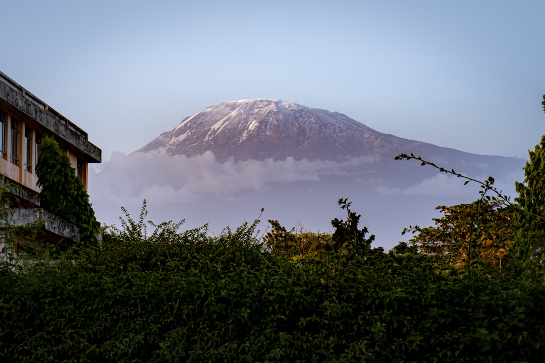 Breathtaking Trails in Moshi: Kilimanjaro Adventures - Moshi | Secret World Trip Planner