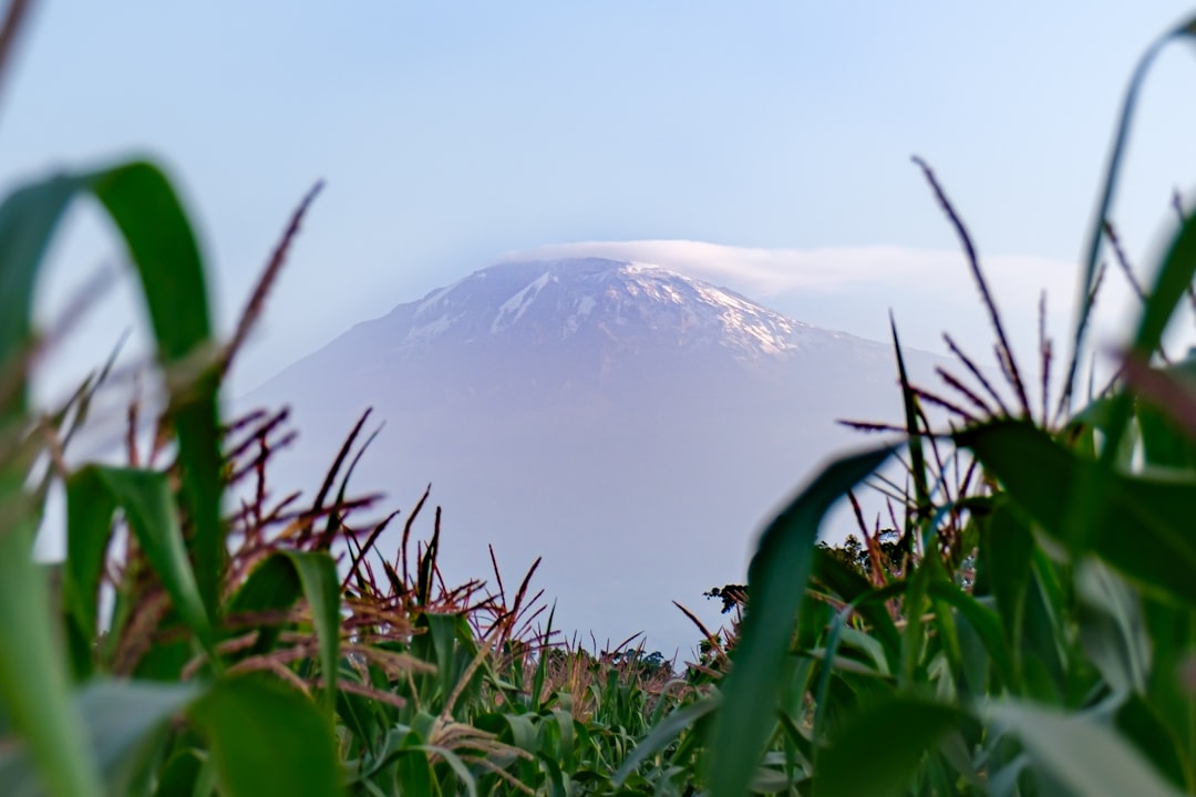 Atemberaubende Wege in Moshi: Abenteuer am Kilimanjaro - Moshi | Secret World Trip Planner