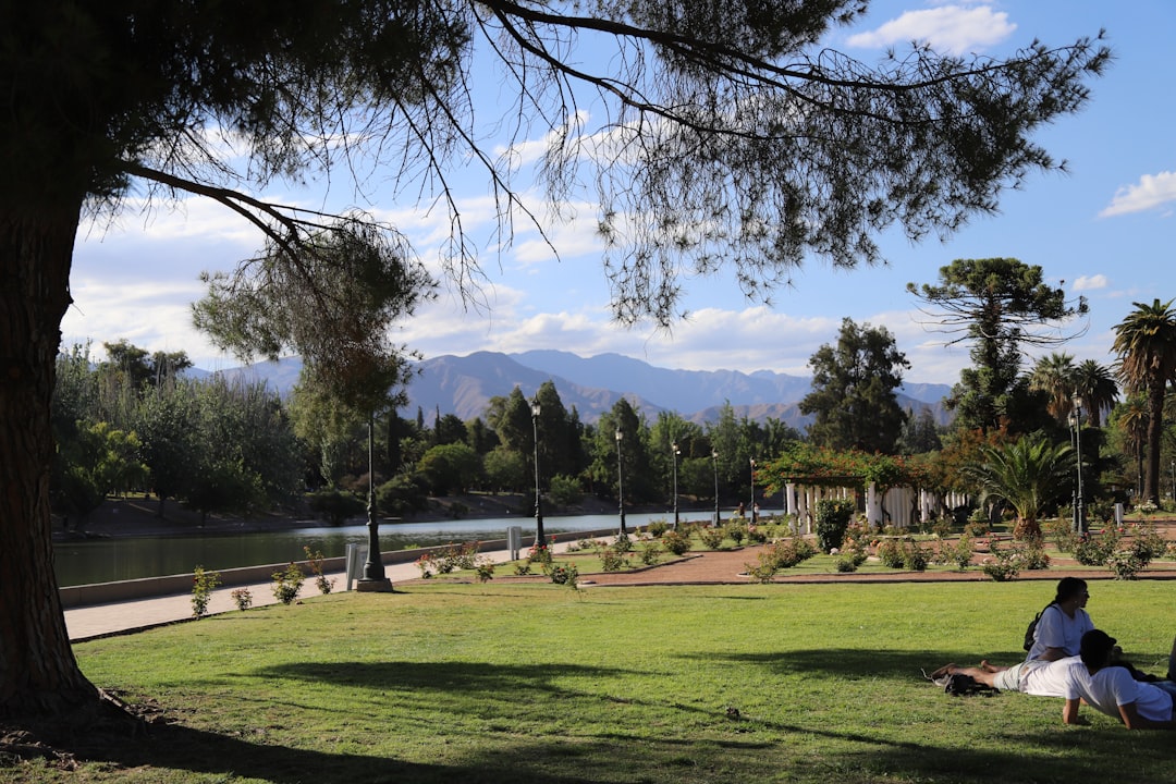 Entdecken Sie die Weine von Mendoza: Eine Sinnesreise - Capital Department | Secret World Trip Planner