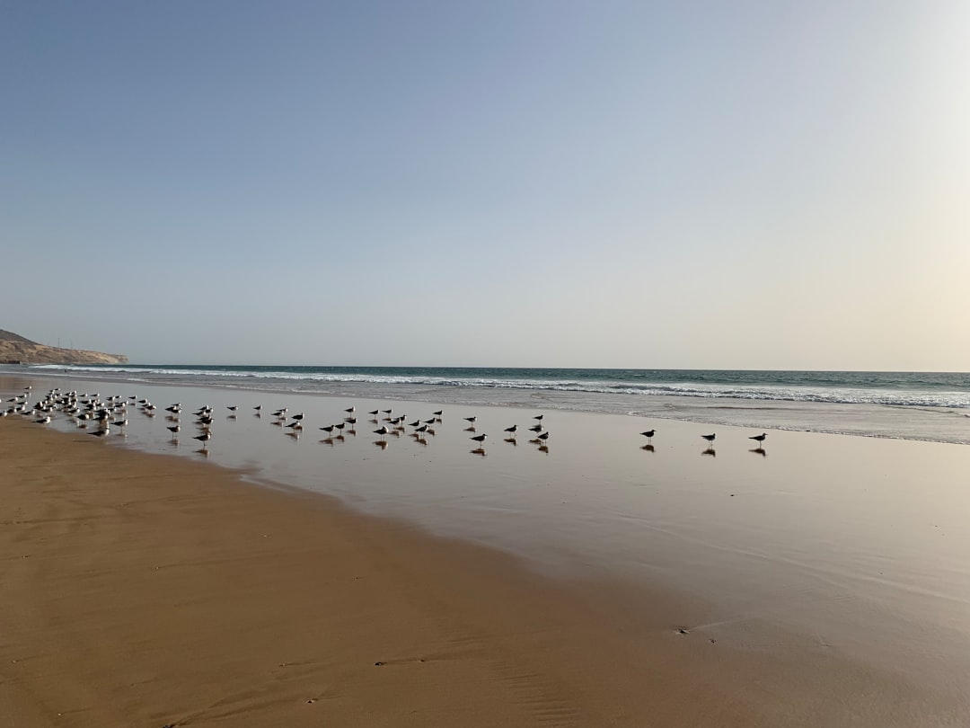 Scopri Tan Tan Plage: il gioiello costiero del Marocco - FMX8+CF3 | Secret World Trip Planner
