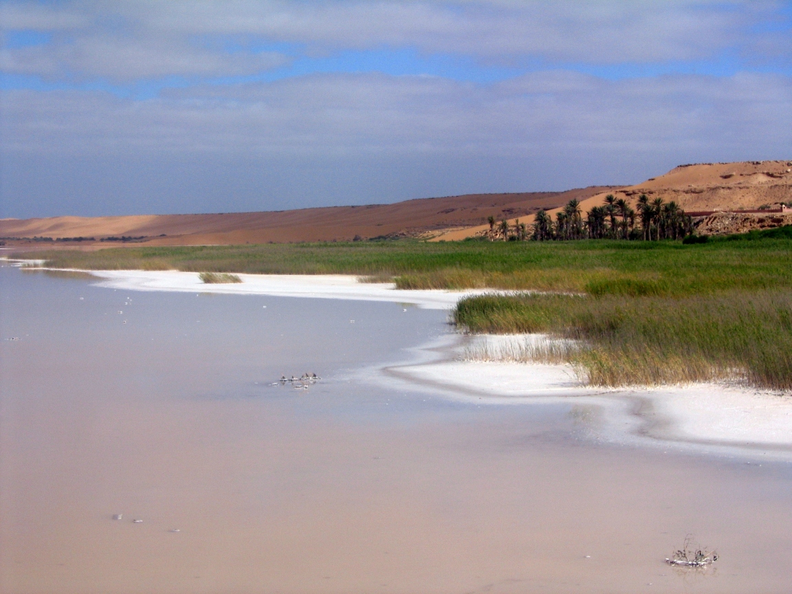 Discover Tan Tan Plage: the Coastal Gem of Morocco — FMX8+CF3