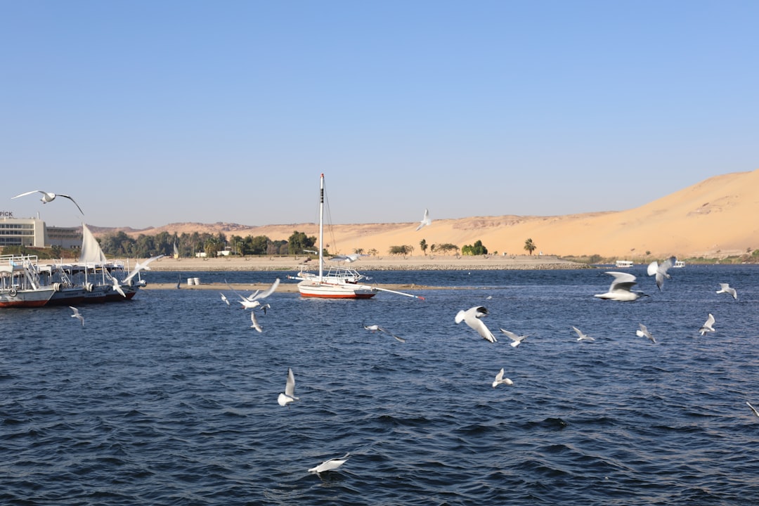 Madinat Coraya: A Paradise on the Red Sea - Marsa Alam | Secret World Trip Planner