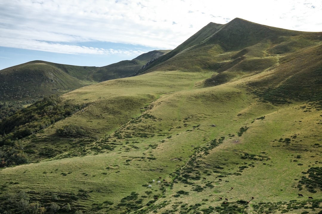 Discover Lac Chambon: A Nature Haven in Auvergne - Murol | Secret World Trip Planner