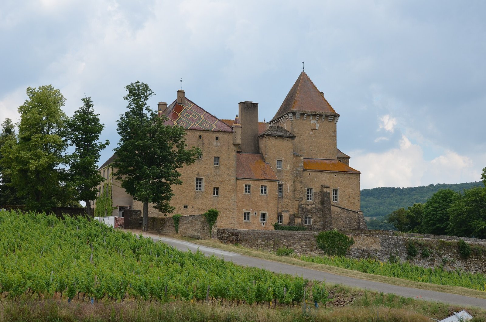 Discover the Charm of Château de Pierreclos in Burgundy — Cluny