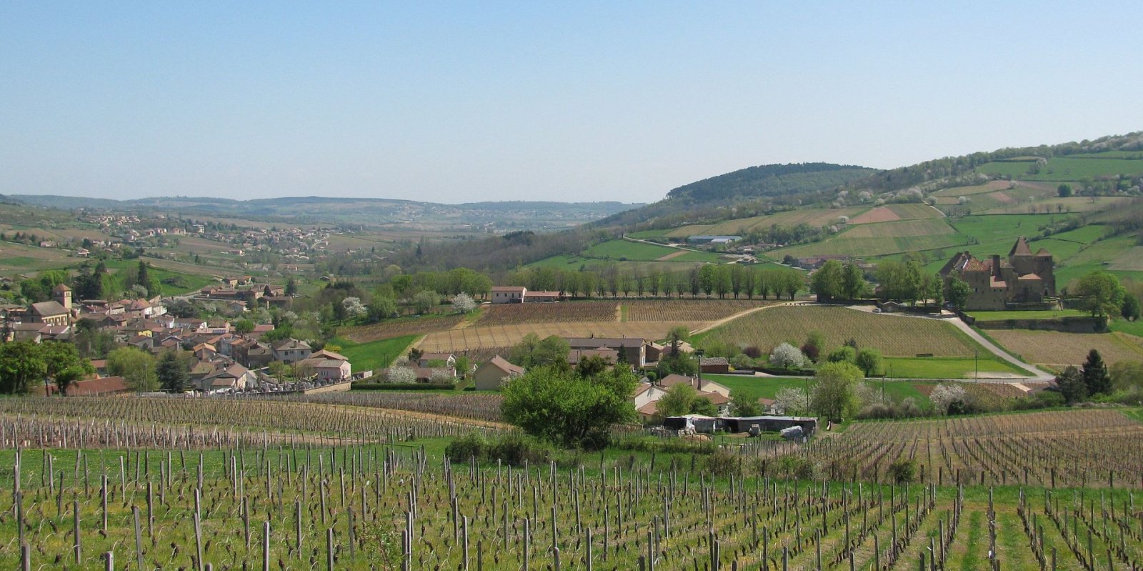 Discover the Charm of Château de Pierreclos in Burgundy - Cluny | Secret World Trip Planner