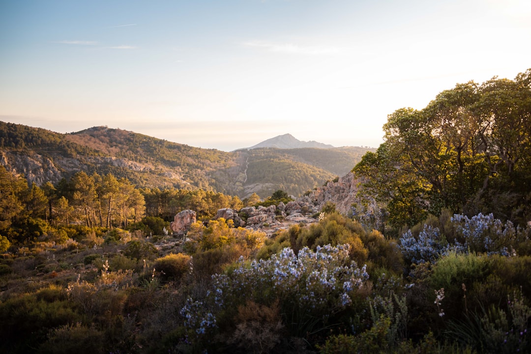 Discover the Calanques de Piana: a Natural Gem in Corsica - Piana | Secret World Trip Planner
